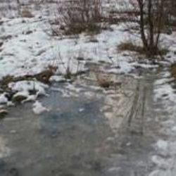 Весенние хлопоты