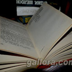 Мое отношение к книгам. Книга бумажная или электронная