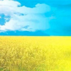 Я люблю тебя, моя Украина!